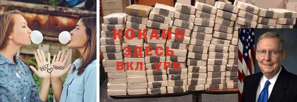 гидра Алексеевка
