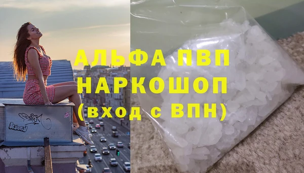 гидра Алексеевка