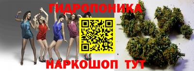 Альфа ПВП Гусев