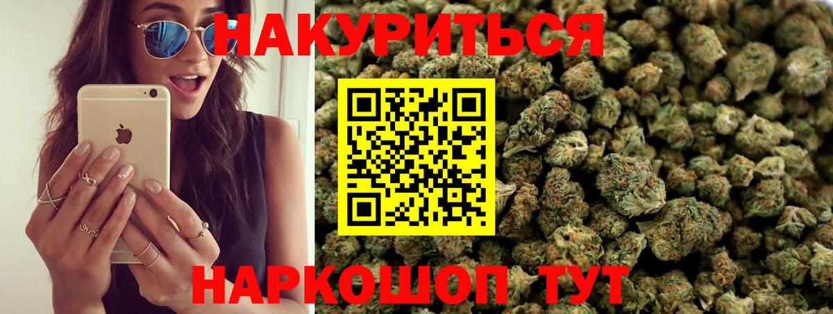 Бошки марихуана Bruce Banner Тверь
